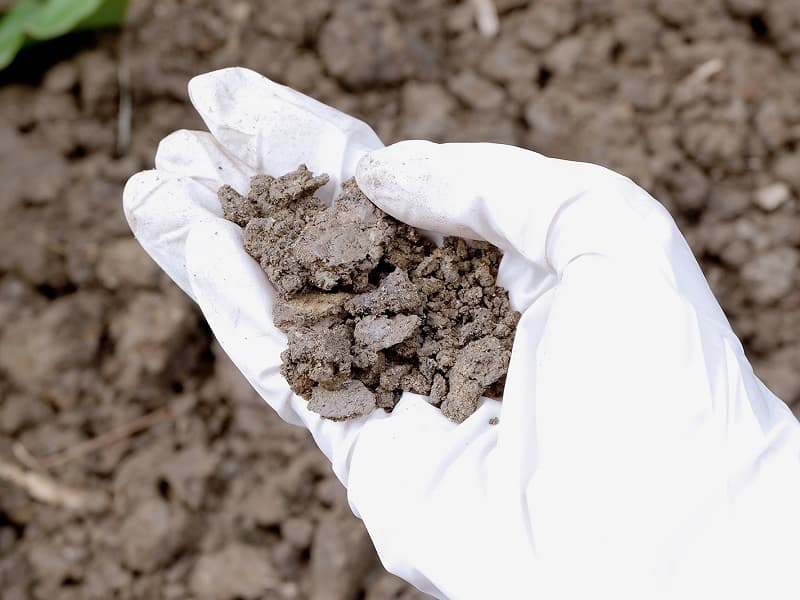 Site remediation Sydney - soil contamination cleanup